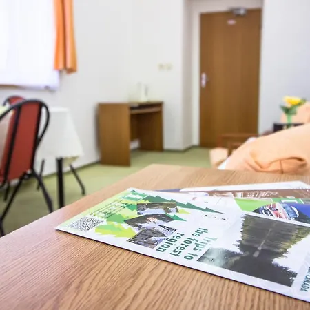 Svecova Kolej Penzion *